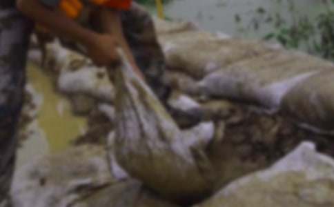 最新抗洪救災(zāi)的心得體會(huì)