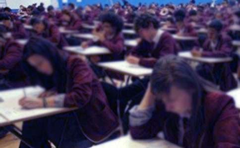 誠信考試倡議書(集合15篇)