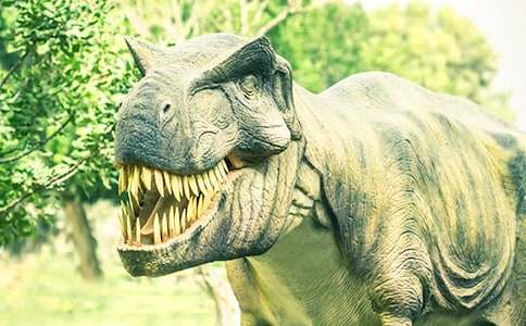 ����������̰�