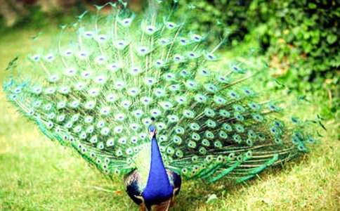 ����ȸ�|���w���̰�[���A]