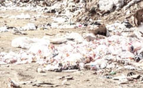 �����ӵ���������؂�15ƪ