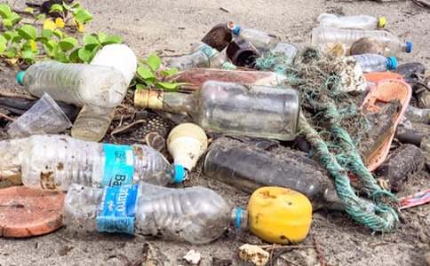 清理綠化帶垃圾簡報(bào)