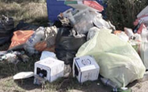 [��(y��u)]�����ӵ���������(b��o)15ƪ