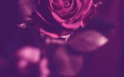 關(guān)于浪漫個(gè)性說說心語(精選30句)