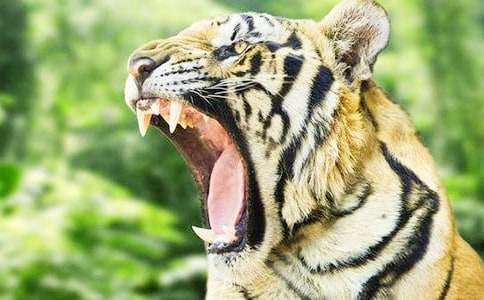 ��С�ϻ��v�U(xi��n)ӛ���x���13ƪ