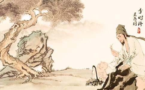 (優(yōu)秀)《李時(shí)珍》教案13篇