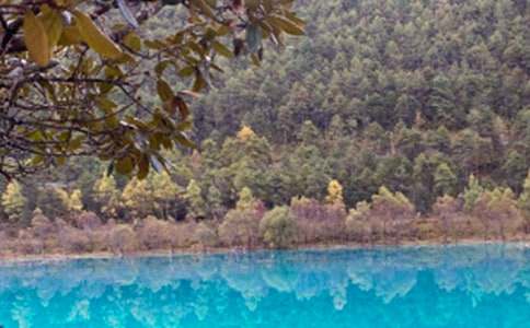 麗江導(dǎo)游詞(集合15篇)