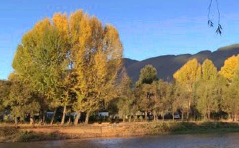 �����ųǌ�(d��o)���~����