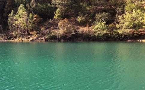 ���������ųǌ�(d��o)���~14ƪ