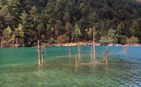 �����ųǵČ����~