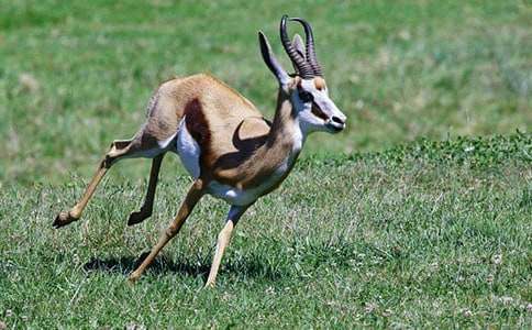 ������ľ�񡷽̰�