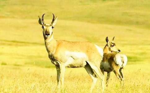 ����������Ĺ�ݡ��x���