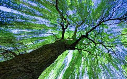 ��С�����С���䡷�̰�