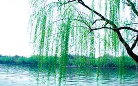 ��ࡶ�������̰�(15ƪ)