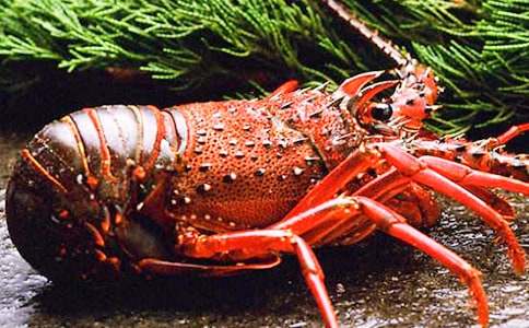 С���r�V��V���Z(y��)