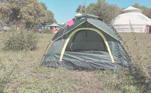 露營小學(xué)作文錦集6篇