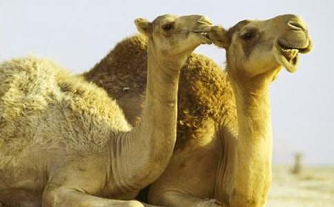 �������ӡ��x��кϼ���15ƪ��