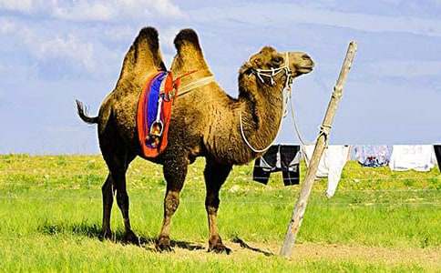 �T������15ƪ(���T)