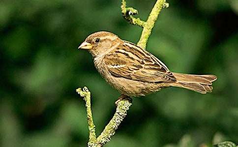 С��ȸ�̰�ͨ��