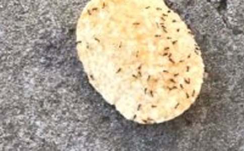 ����Λρ���̰�