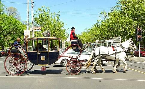 關(guān)于馬車作文英文