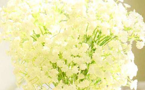 �M���ǵĻ��Z��ʲô