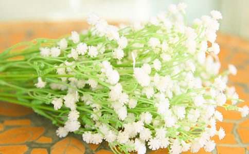 滿天星的花語唯美句子