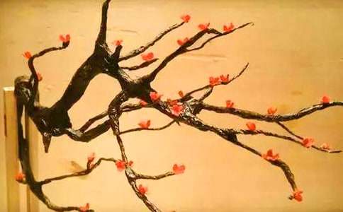 ����÷���Z��ʲô��˼