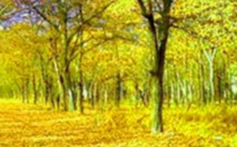 ����Ȼ����������