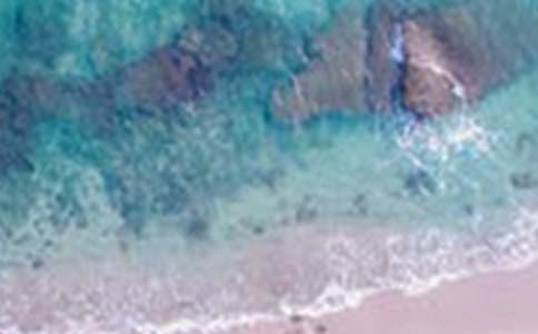 寫大自然美景的作文