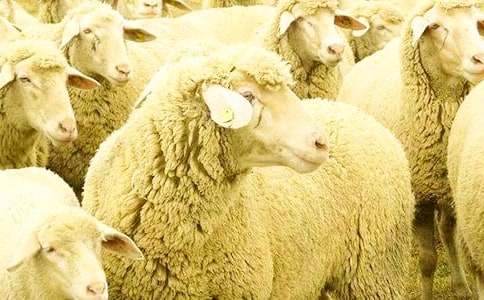 �x����(y��u)��ľd���и�