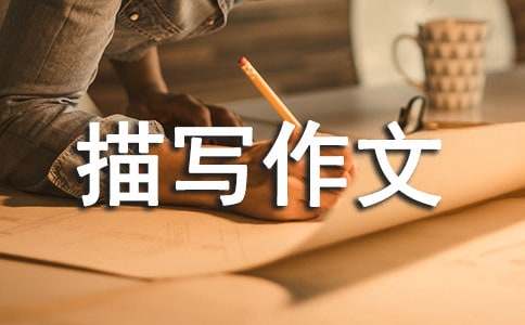 精選初三人物描寫作文4篇