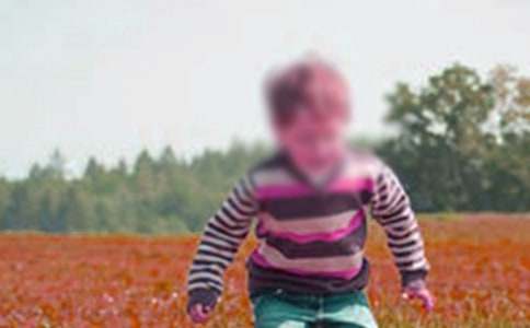 陽剛男孩讀后感