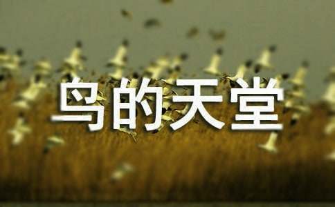 “鳥的天堂”導(dǎo)游詞15篇