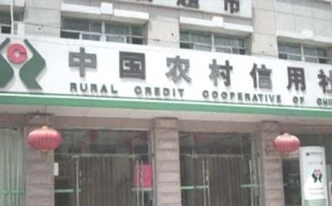 農(nóng)村信用社主任述職報(bào)告7篇