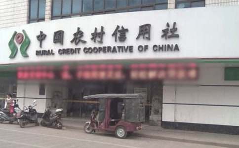 農(nóng)村信用社主任述職報(bào)告(匯編6篇)