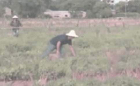 �����ڼҸ��r(n��ng)���������`���