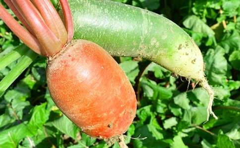 �r(n��ng)�Ҙ�(l��)�߄���[���x15ƪ]