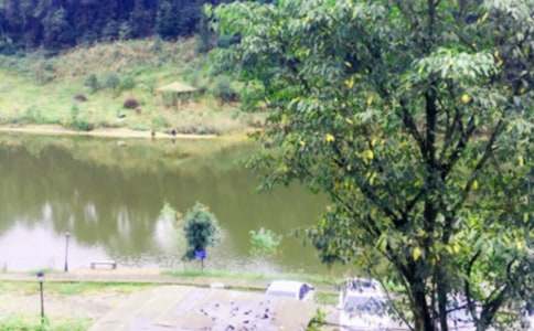 農(nóng)家樂(lè)園作文