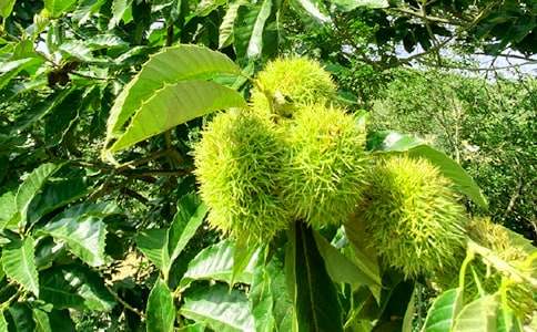 �r(n��ng)�Ҙ��߄���15ƪ[���T]