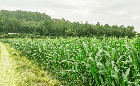 �r(n��ng)�Ҙ��߄�������15ƪ