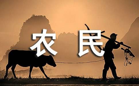 建筑企業(yè)招用務(wù)工農(nóng)民勞動(dòng)合同