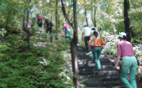 ����Ƭ�G�G����ɽ�����Ľ̰�