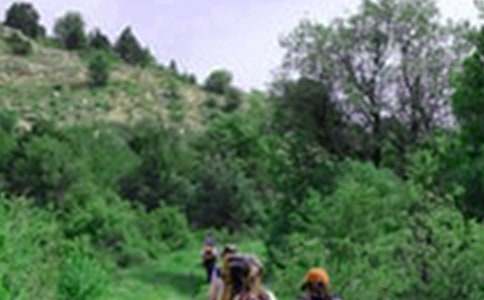 ������ɽ��Ӳ߄�����