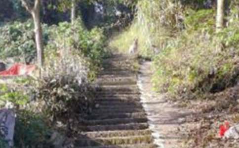 精選爬山教案集合六篇