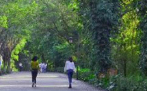 爬山教案集錦六篇