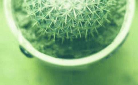 С�����Ļ��Z�����Լ��g(sh��)��B