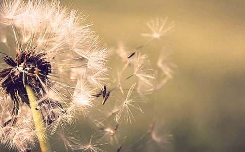 �ѹ�Ӣ���Z_�ѹ�Ӣ�Ļ��Z�����f-�r���Y�x