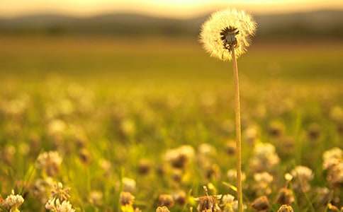 ���ѹ�Ӣ���̰�