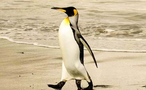 �������Z�x���